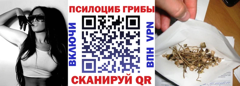 где купить наркоту  ОМГ ОМГ зеркало  Псилоцибиновые грибы MAGIC MUSHROOMS  Данков 